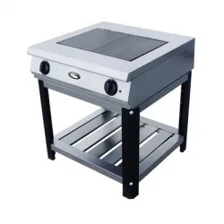 Плита электрическая Grill Master Ф2ЖТЛПЭ – купить в Краснодаре с доставкой Купить плита электрическая grill master ф2жтлпэ в Краснодаре – цена завода, доставка до двери | RuOborudovanie.ru