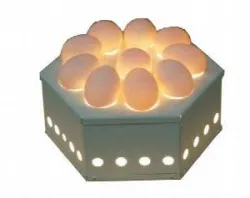 Овоскоп Итерма (Iterma) Egg10 – купить в Краснодаре с доставкой Купить овоскоп итерма (iterma) egg10 в Краснодаре – цена завода, доставка до двери | RuOborudovanie.ru
