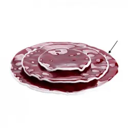 Купить тарелка стеклянная вино вишневый d29см, merlot xglas-529 – цена от завода, доставка до двери | RuOborudovanie.ru