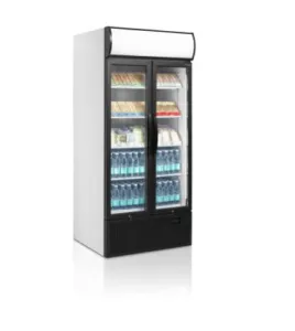 Шкаф холодильный Tefcold Fsc890H со стеклом 707л 0,1кВт – купить по цене завода