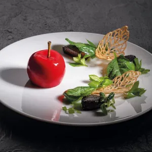 Форма силиконовая "Gourmand яблоко" D45Мм H37,5Мм, 46мл, 15 ячеек Gg036S – купить в Краснодаре по цене завода