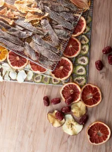 Дегидратор Kocateq DHFD16 для овощей с 16 уровнями 39,6х39,6см (сушилка) – купить в Краснодаре по цене завода