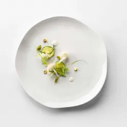 Купить тарелка мелкая gastro d29см h2,5см v0388-0129 – цена от завода, доставка до двери | RuOborudovanie.ru