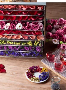 Дегидратор Kocateq DHFD10 для овощей с 10 уровнями 39,6*39,6см (сушилка) – купить в Краснодаре по цене завода