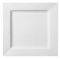 Купить тарелка cameo square rim 23,5х23,5cm h2,3см 710-91 – цена от завода, доставка до двери | RuOborudovanie.ru