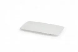 Купить блюдо прямоугольное фарфор tendence 30x18x2см td0an440000 в Краснодаре – цена завода, доставка до двери | RuOborudovanie.ru