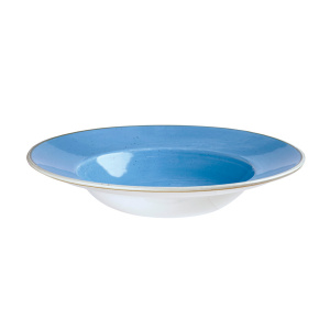 Тарелка для пасты 28СМ 0,47Л, с широким бортом, Stonecast, цвет Cornflower Blue Scfsvwbl1