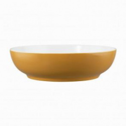 Купить салатник seltmann weiden life amber gold 65015 25 см 001.757423 – цена от завода, доставка до двери | RuOborudovanie.ru