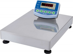 Весы товарные Скейл СКЕ-500-6080 3 (500кг, 50/100/200г)