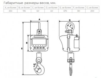 Весы крановые Невские весы ВСК-5000В (5 тонн) – купить в Краснодаре по цене завода