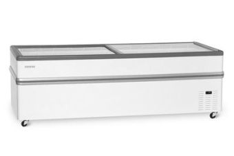 Ларь-бонета СНЕЖ BONVINI BF 2500L (серая) – купить в Краснодаре по цене завода