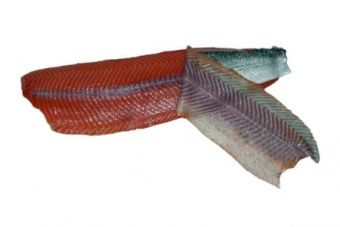 Шкуросъёмная машина для рыбы Nock Cortex CBF 496/7 SALMON TWIN – купить в Краснодаре по цене завода