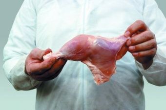 Шкуросъёмная машина Nock Cortex CBP 496 POULTRY – купить в Краснодаре по цене завода