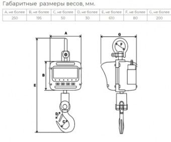 Весы крановые Невские весы ВСК-2000В (2 тонны) – купить в Краснодаре по цене завода
